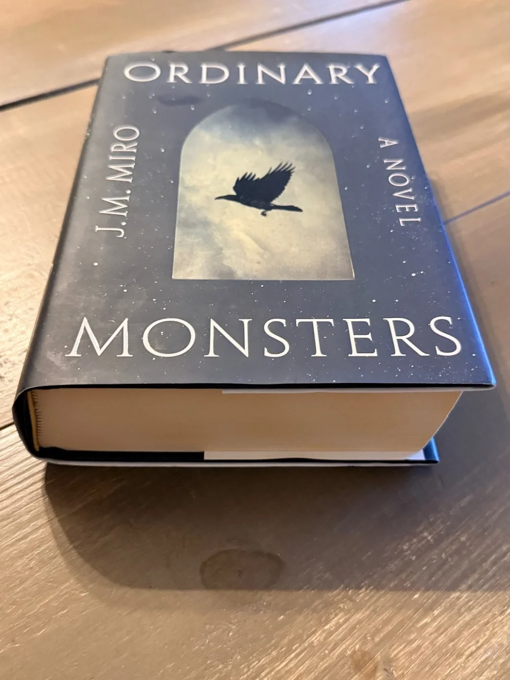 Ordinary Monsters by J.M.‎ Miro Hardcover Historical Fantasy Novel First Edition